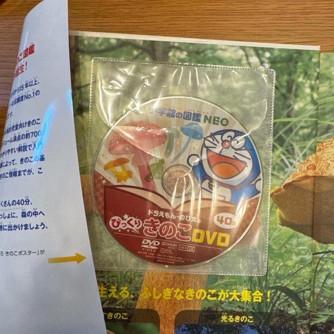 「ゆぅ」7セット　DVDつき