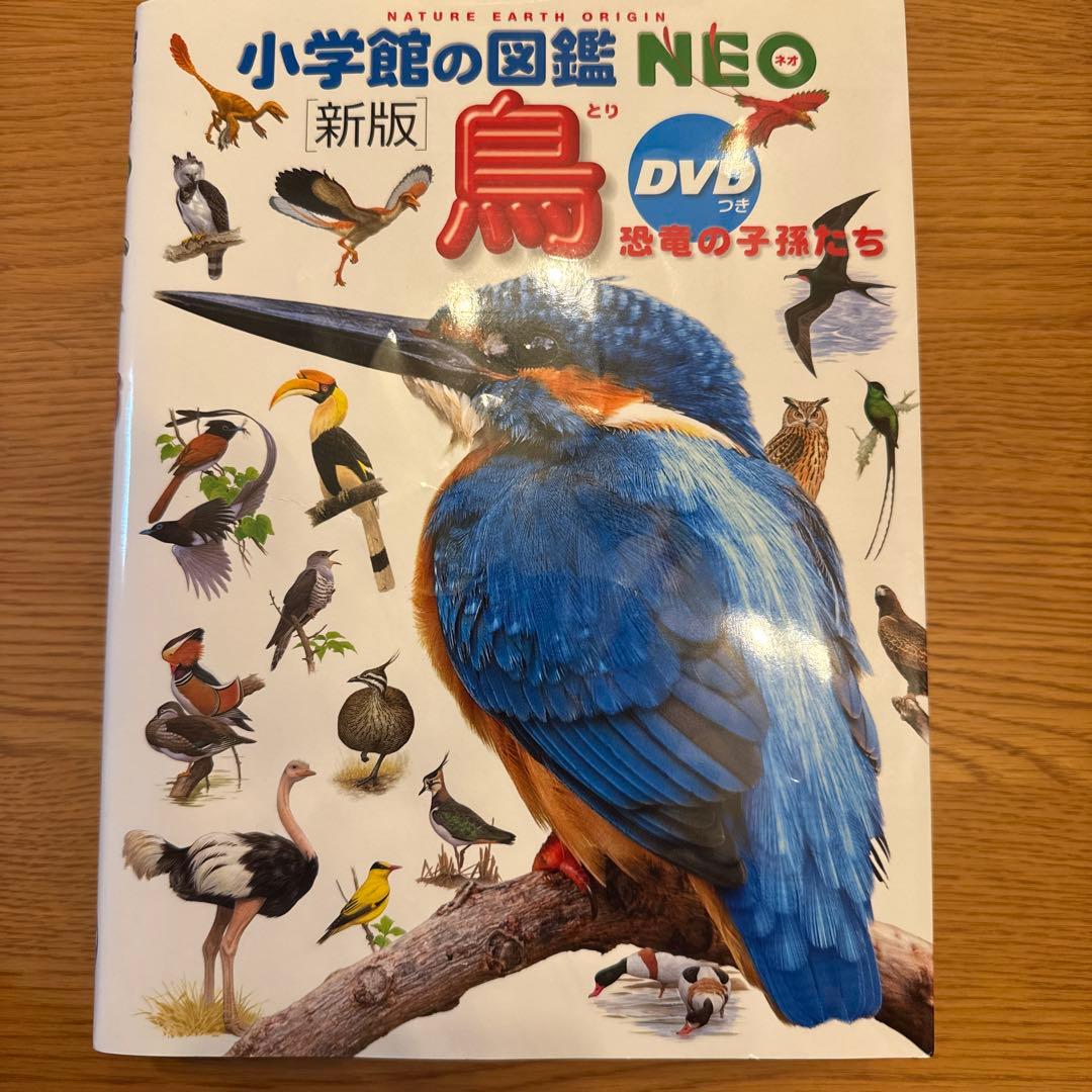 「ゆぅ」7セット　DVDつき