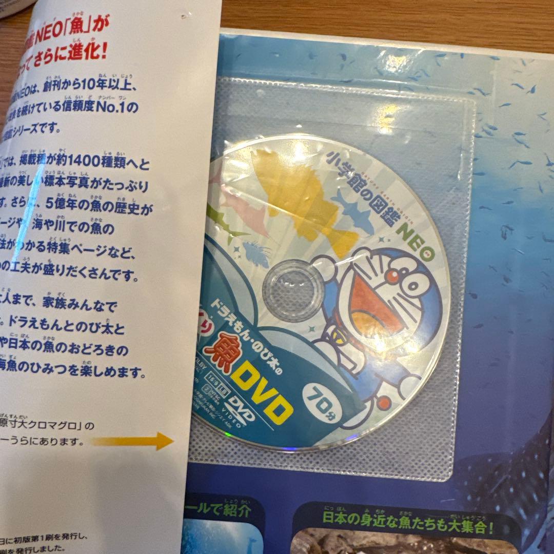 「ゆぅ」7セット　DVDつき