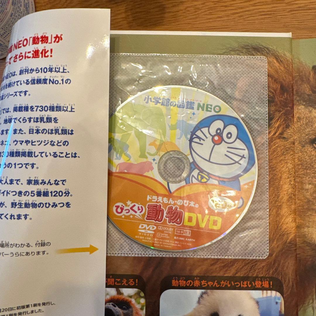 「ゆぅ」7セット　DVDつき