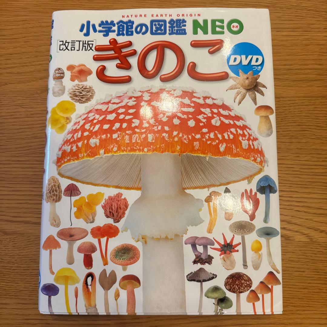 「ゆぅ」7セット　DVDつき