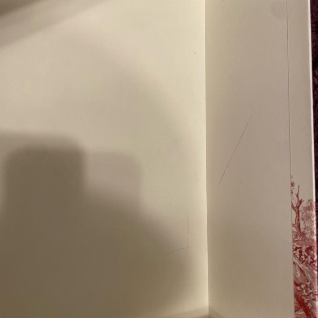 DIOR 空箱