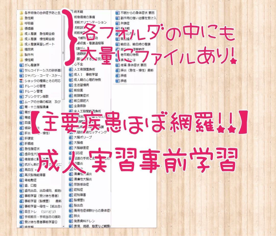 看護学生 看護実習 看護過程 看護学校 看護計画 国家試験 国試 資料 実習記録