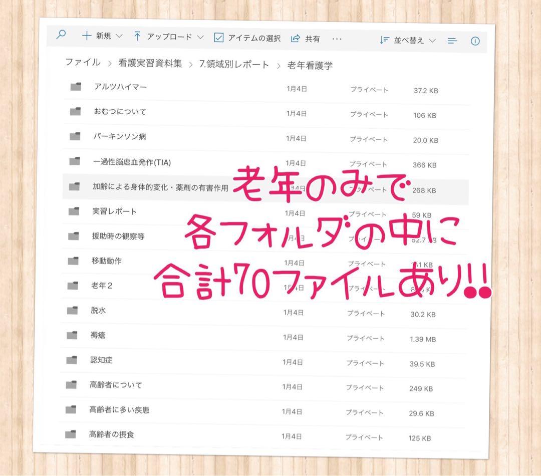 看護学生 看護実習 看護過程 看護学校 看護計画 国家試験 国試 資料 実習記録