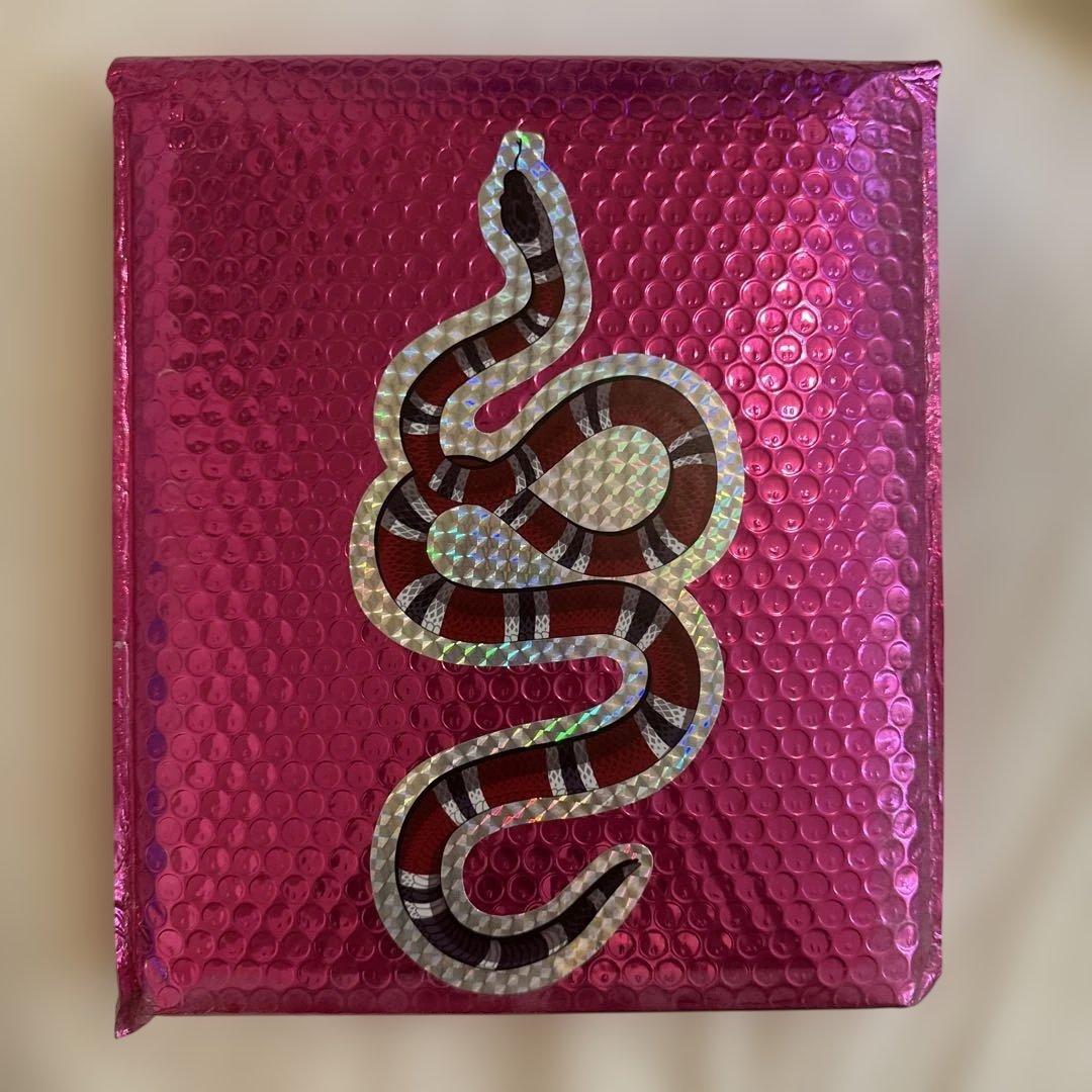 epiphany ari marcopoulos gucci グッチ　写真集