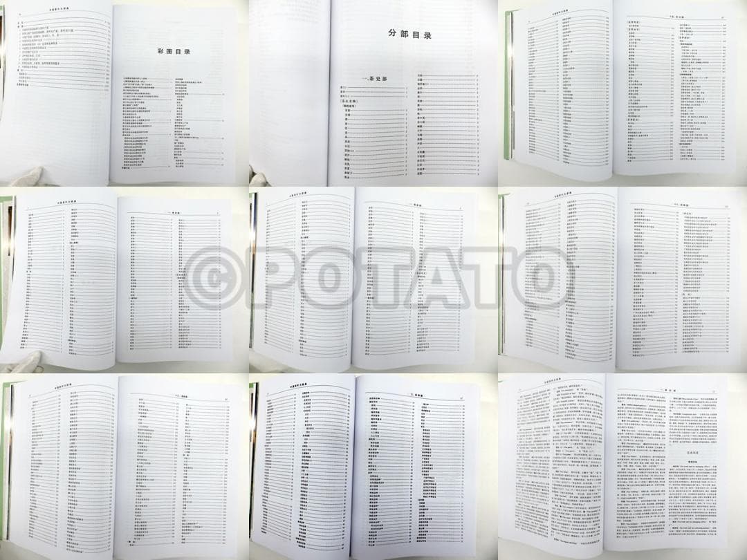 【新品】 中国語書籍：中国茶叶大辞典 / 中国轻工业出版社