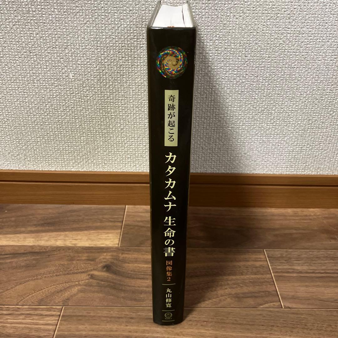 カタカムナ生命の書 図像集2 丸山修寛