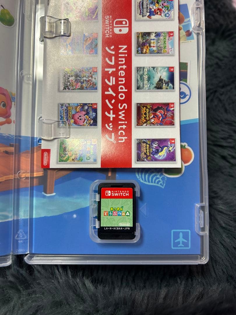 Nintendo Switch ゲーム カセット
