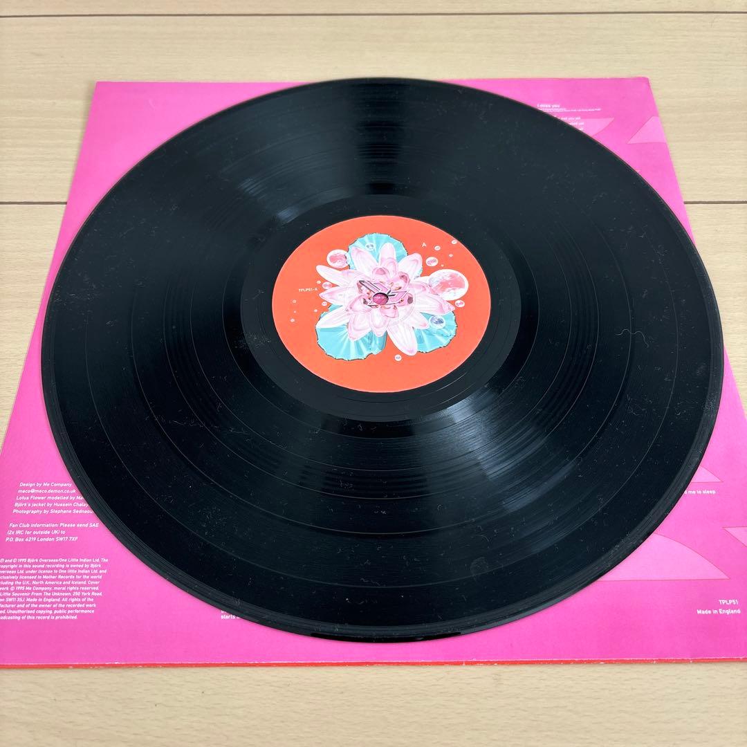 Björk ビョーク Bjork レコード