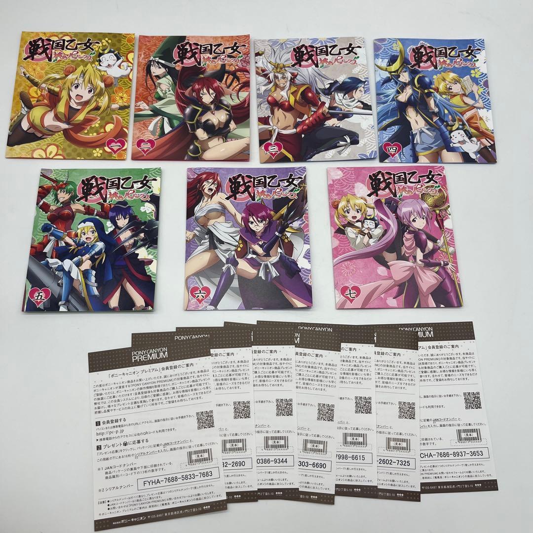 戦国乙女　桃色パラドックス　限定版　DVD