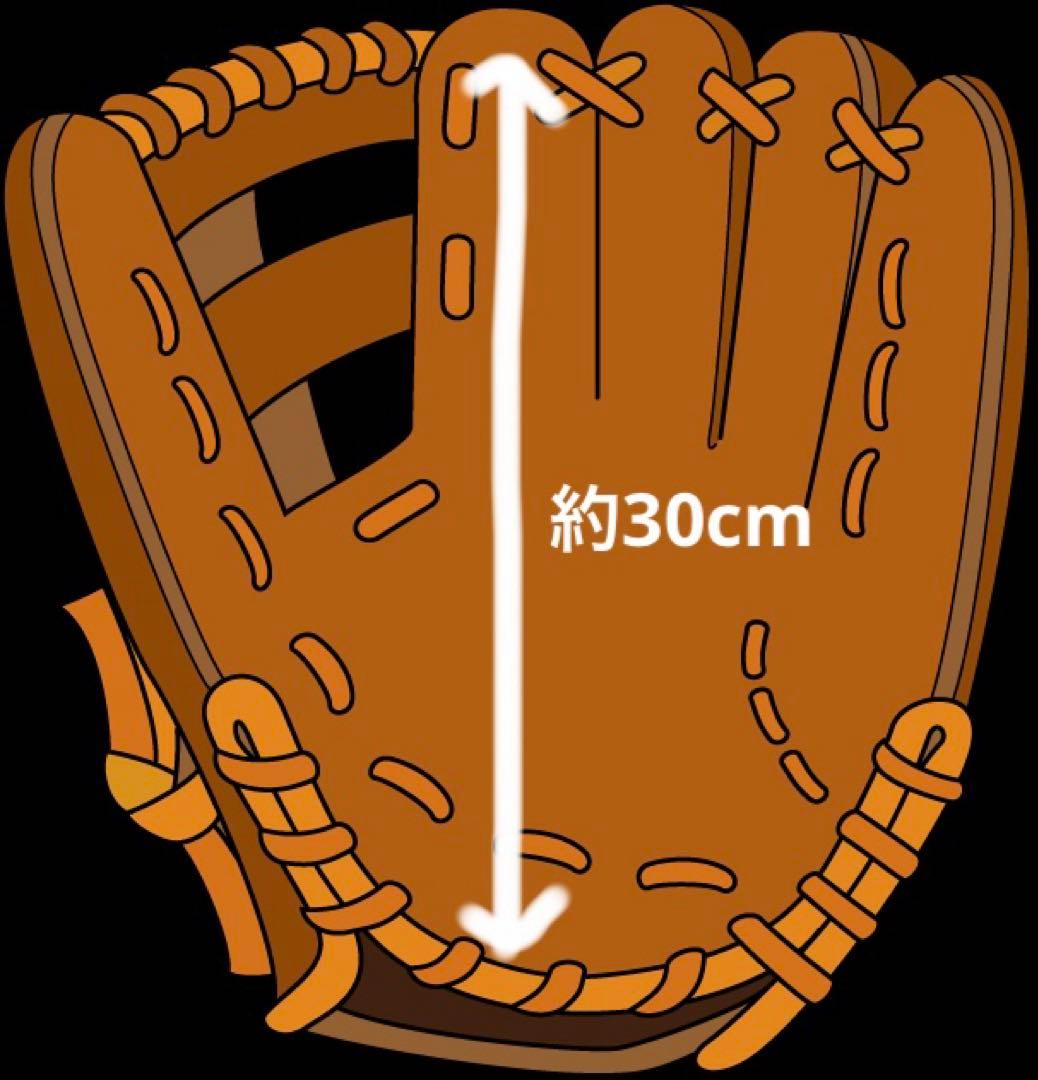 Mizuno Pro 硬式内野手用オーダーグローブ　耕作印