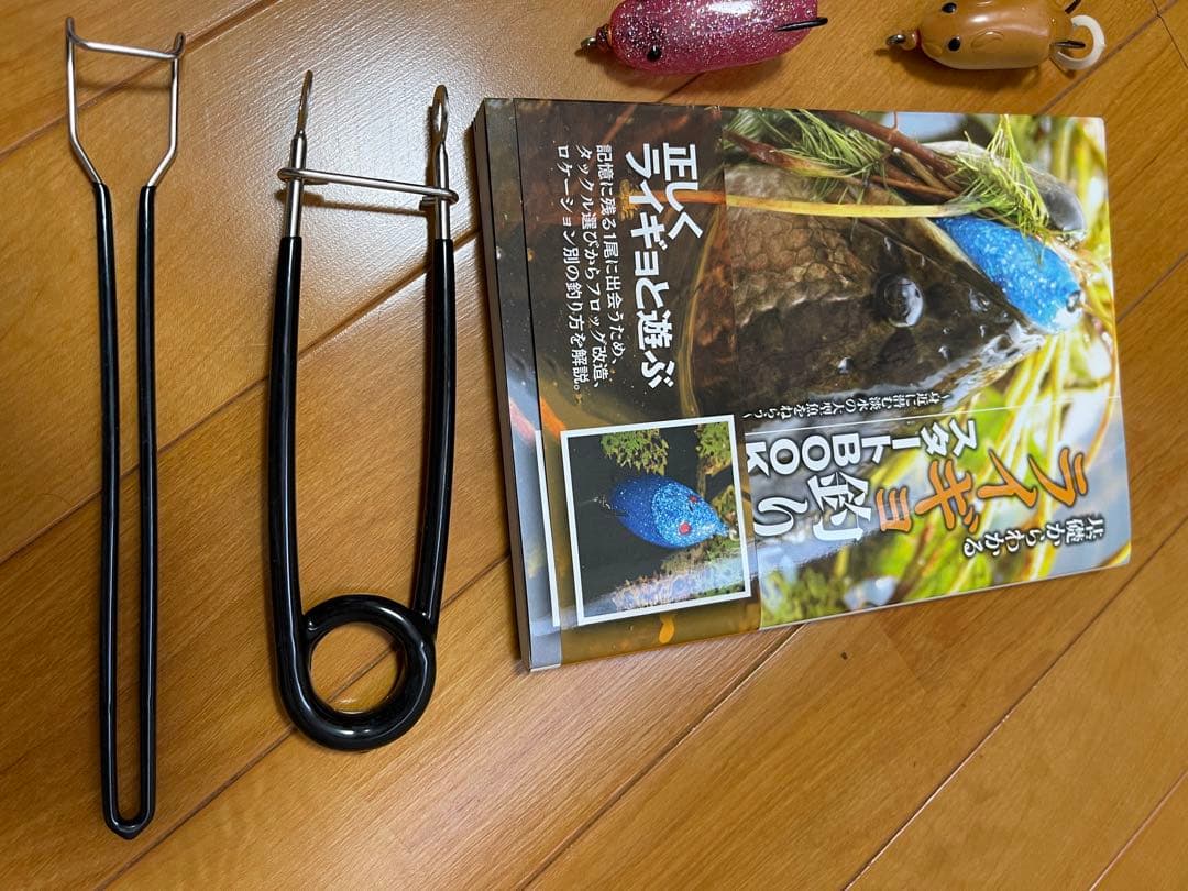 フロッグ セット
