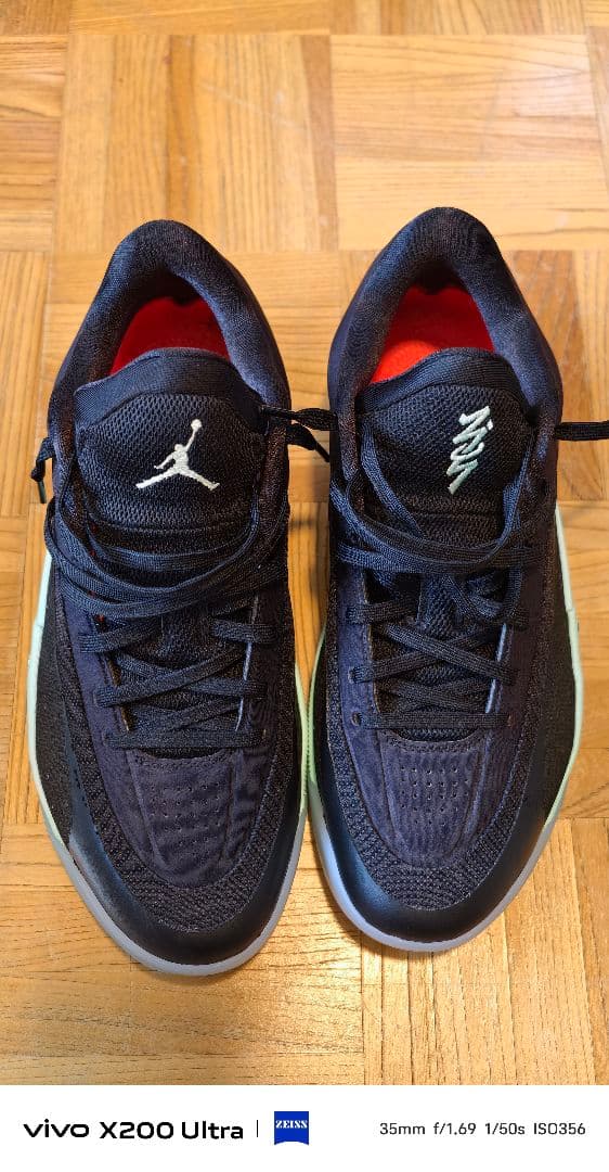 JORDAN ZION 4 PF 29cm FD0591-007 黒 ミント