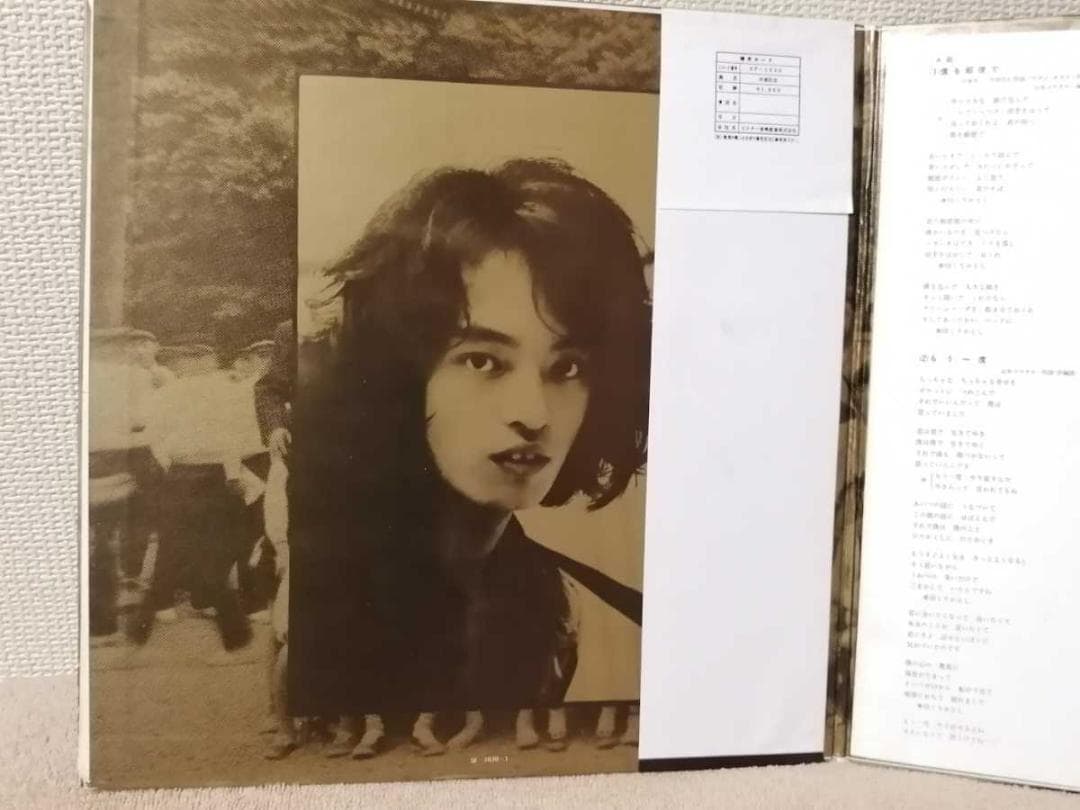 （ＬＰ）山本コウタロー／卒業記念　帯付／はっぴいえんど／吉田美奈子／はちみつぱい