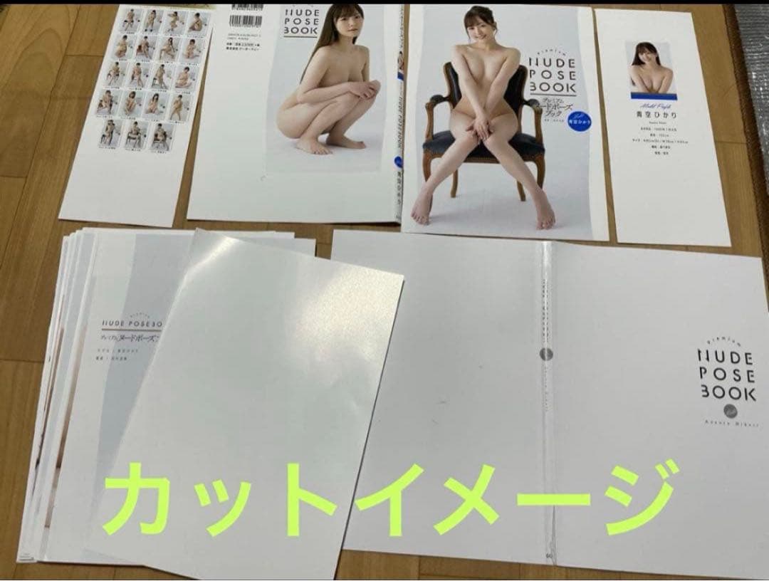 大人気激レア【裁断済み】　伊藤舞雪　プレミアムヌード•ポーズブック