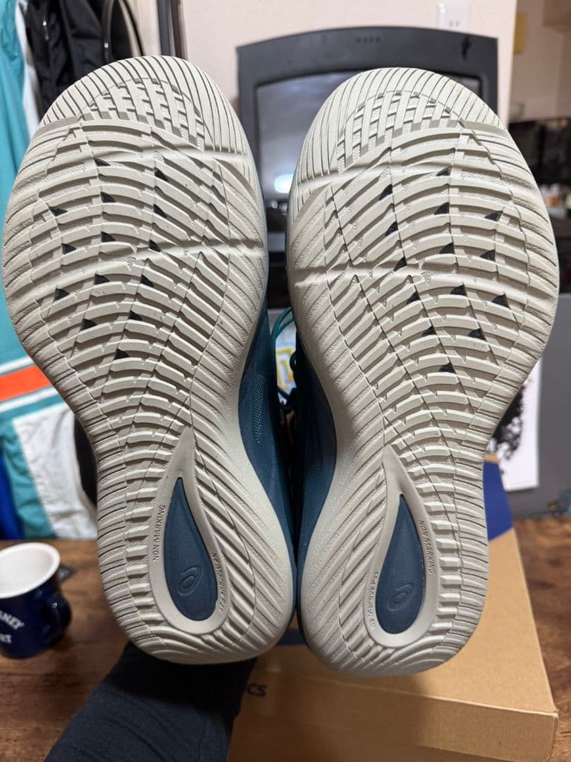 asicsバスケットボールシューズ28.5cm NOVASURGE LOW 2