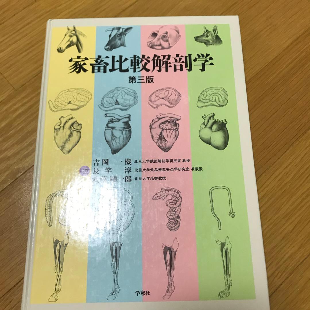 家畜比較解剖学
