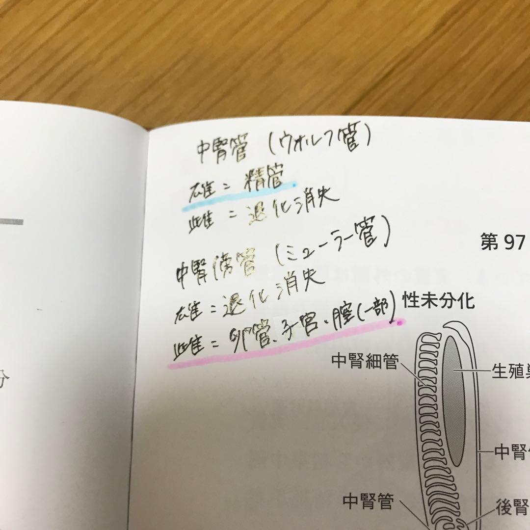 家畜比較解剖学