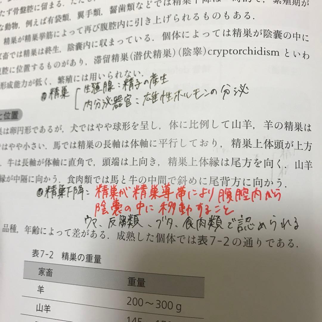 家畜比較解剖学