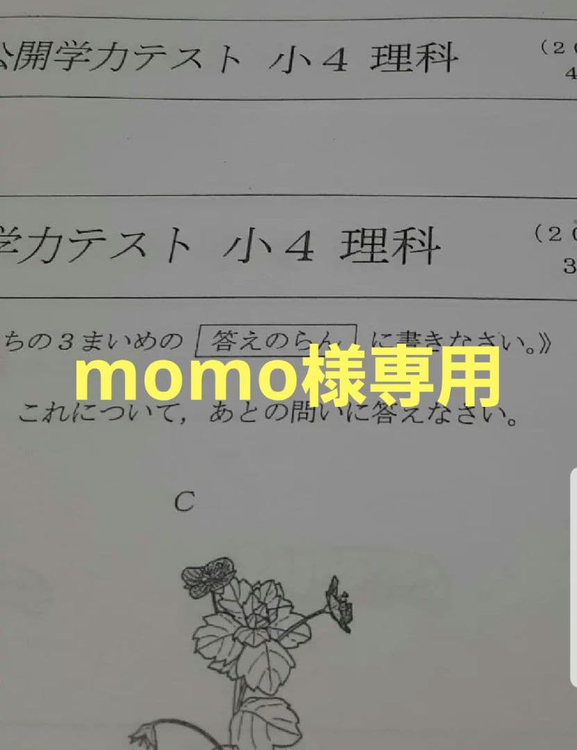 語学・辞書・学習参考書 momo