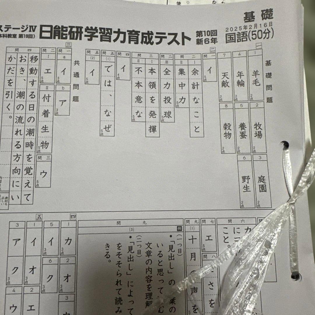 2025年　日能研　育成テスト　前期ステージⅣ 全27回➕おまけ