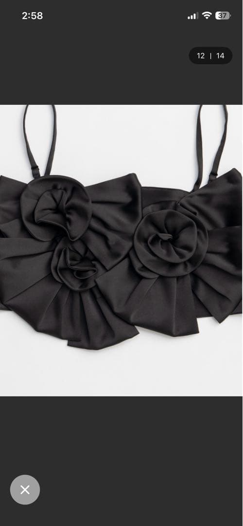 Rose Ribbon Motif Bustier/ローズリボンモチーフビスチェ
