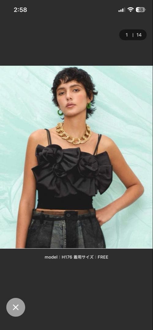 Rose Ribbon Motif Bustier/ローズリボンモチーフビスチェ