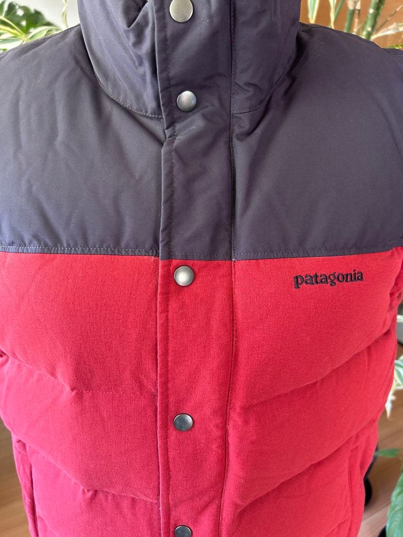 名高き戦士　ページ　patagonia ダウンベスト 赤　紺　レッド