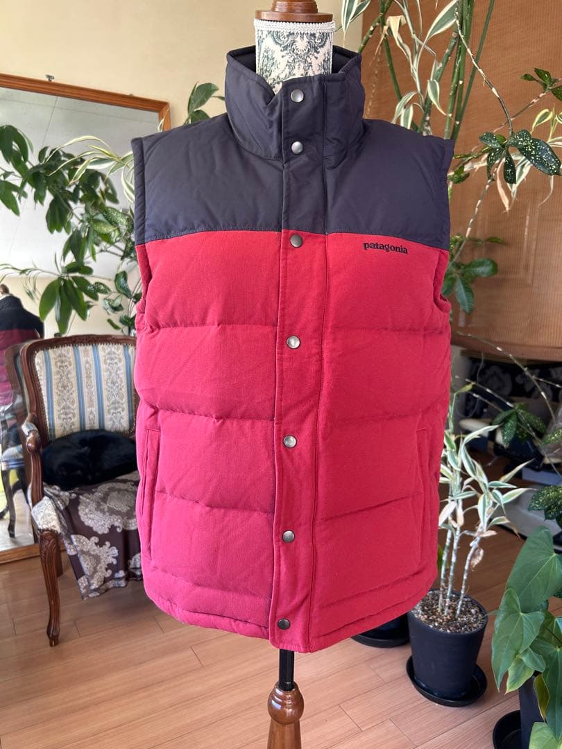 名高き戦士　ページ　patagonia ダウンベスト 赤　紺　レッド