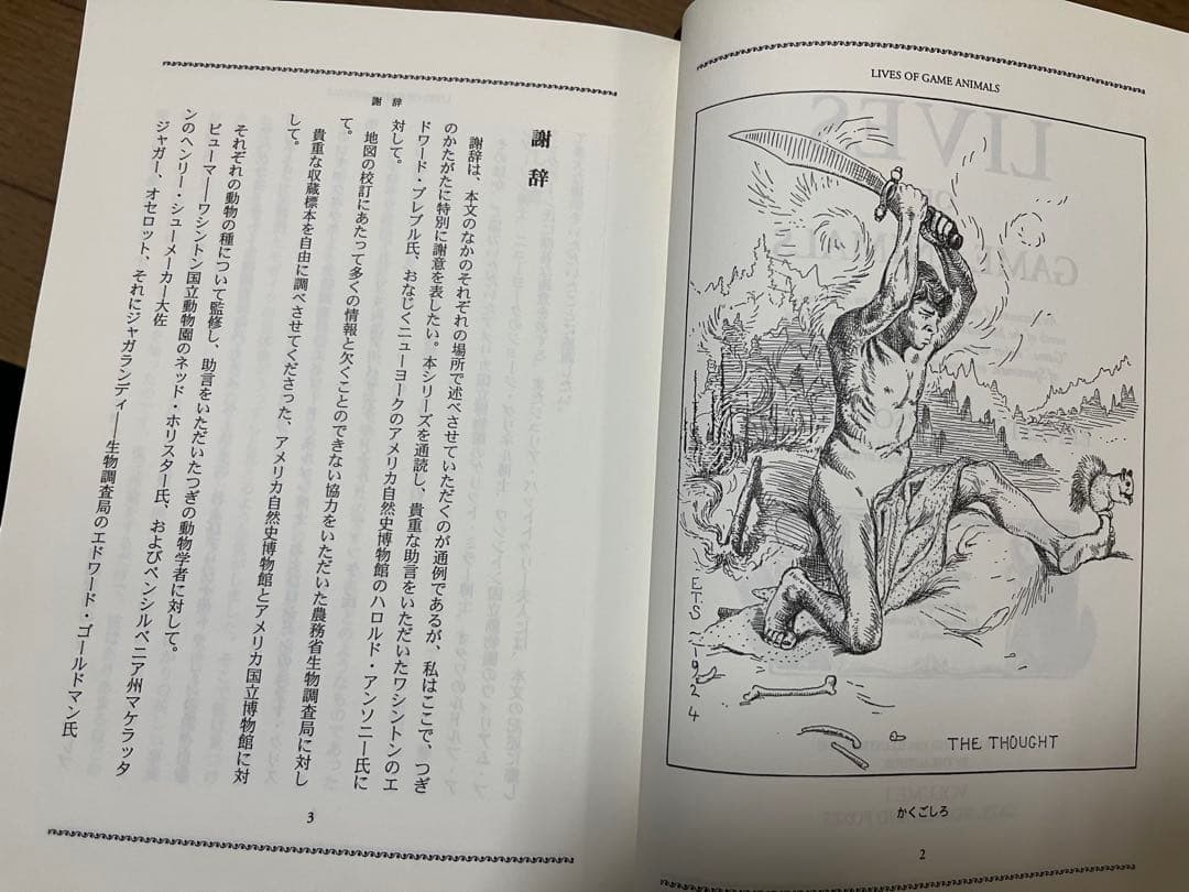 シートン動物誌 全巻 12巻➕シートンセット 今泉吉晴