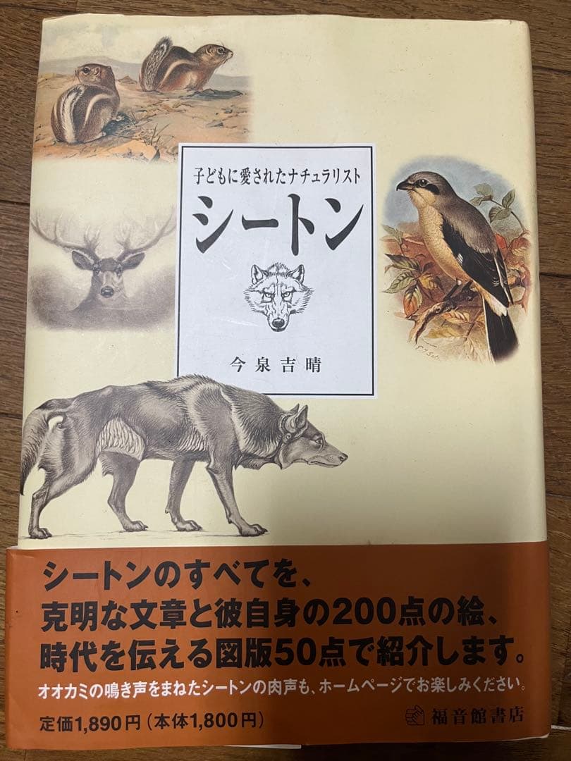 シートン動物誌 全巻 12巻➕シートンセット 今泉吉晴