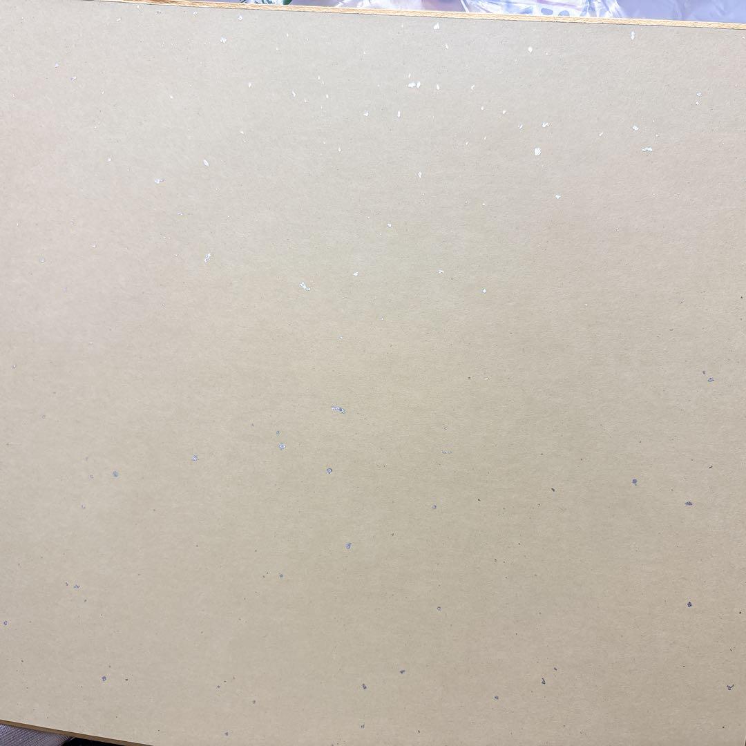 日*1様 【美品】秒速5センチメートル 新海誠監督 直筆サイン入り 色紙 大色紙