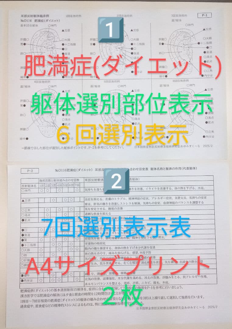 Bc耳臨床54例集+臓器躯体ラミネート加工+解説プリント13set