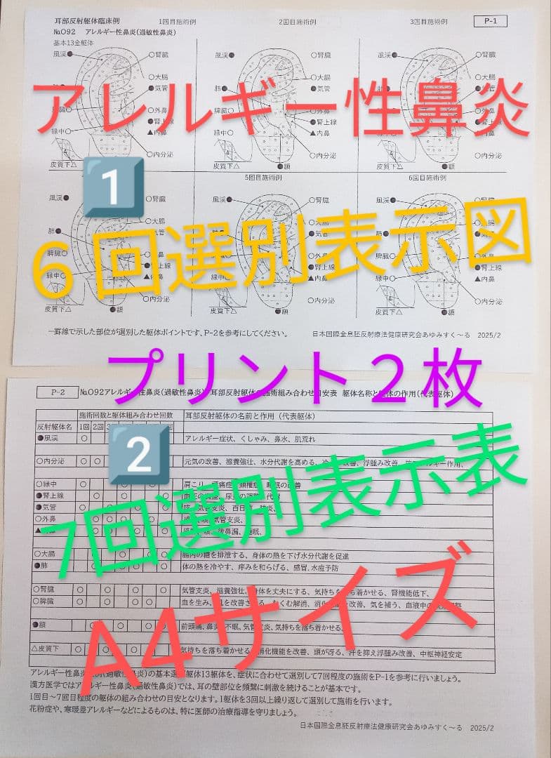 Bc耳臨床54例集+臓器躯体ラミネート加工+解説プリント13set