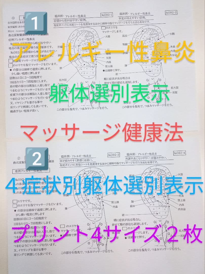 Bc耳臨床54例集+臓器躯体ラミネート加工+解説プリント13set