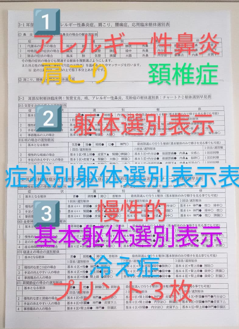 Bc耳臨床54例集+臓器躯体ラミネート加工+解説プリント13set