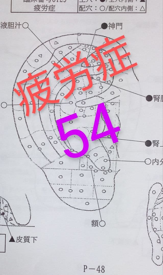 Bc耳臨床54例集+臓器躯体ラミネート加工+解説プリント13set