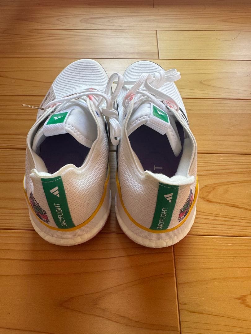 adidas Crazyflight アディダス　クレイジーフライト 23.5
