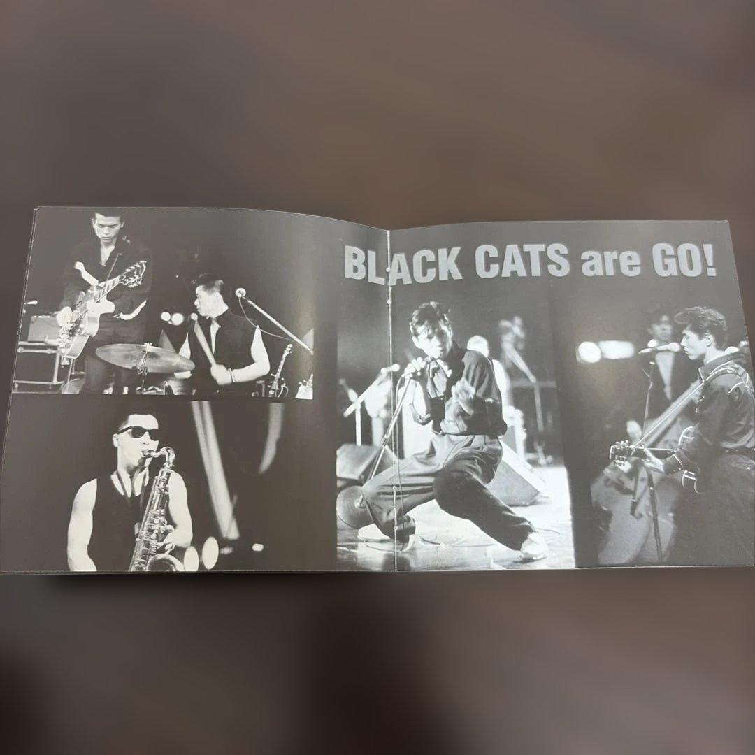 ブラックキャッツ　BLACK CATS one+ CD