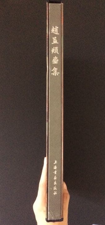 趙孟頫画集（趙孟頫畫集）