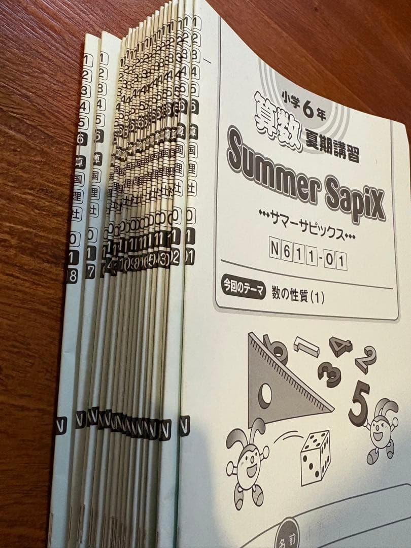 Summer SAPIX 小学6年算数