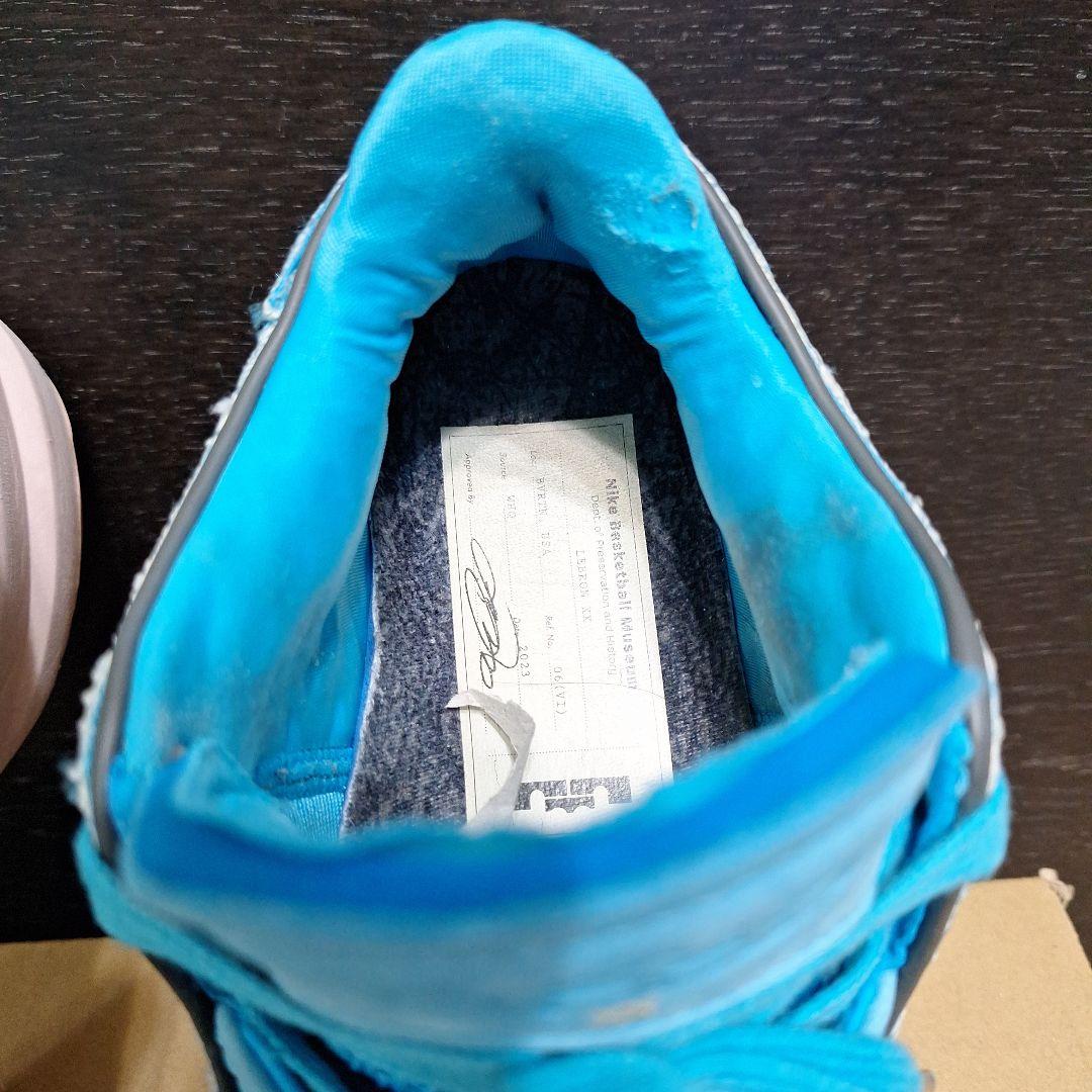 ナイキ　Lebron20　オールスター