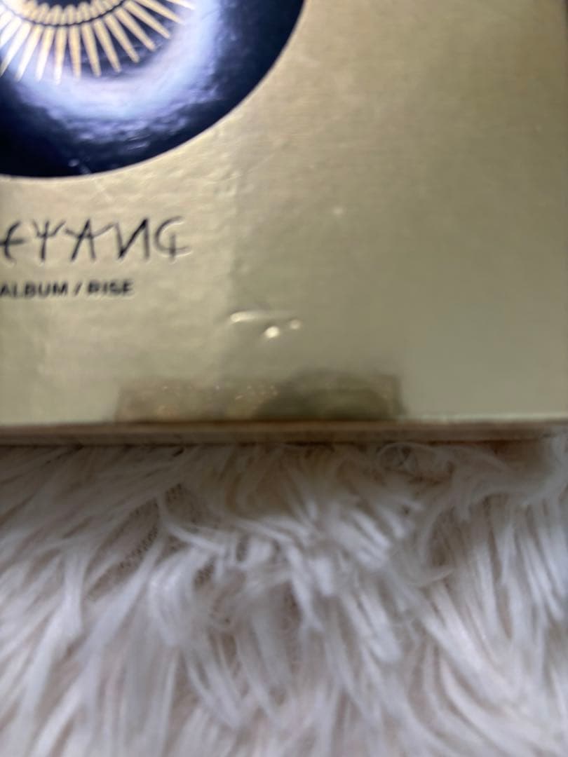 TAEYANG 2ND ALBUM RISE 韓国版 数量限定