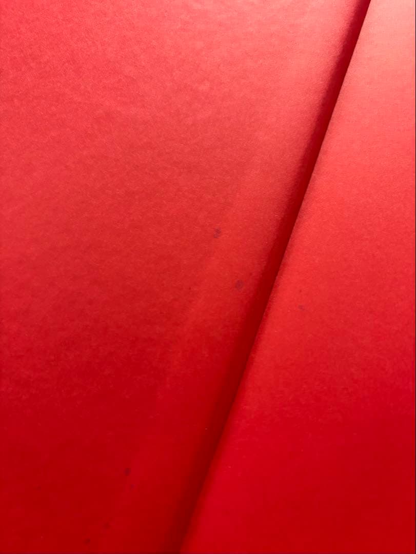 Eiji Ohashi 大橋英児 写真集Existence of
