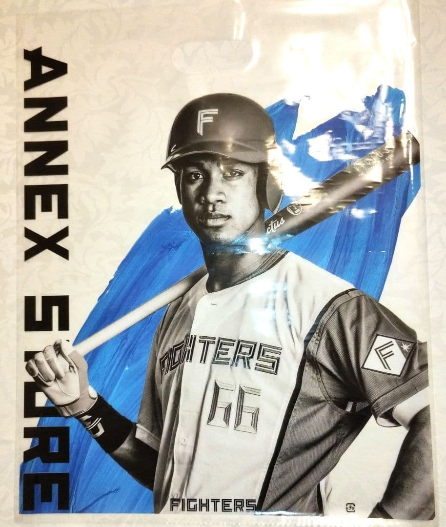 北海道日本ハムファイターズ 万波中正 選手 プラクティスユニフォーム Lサイズ