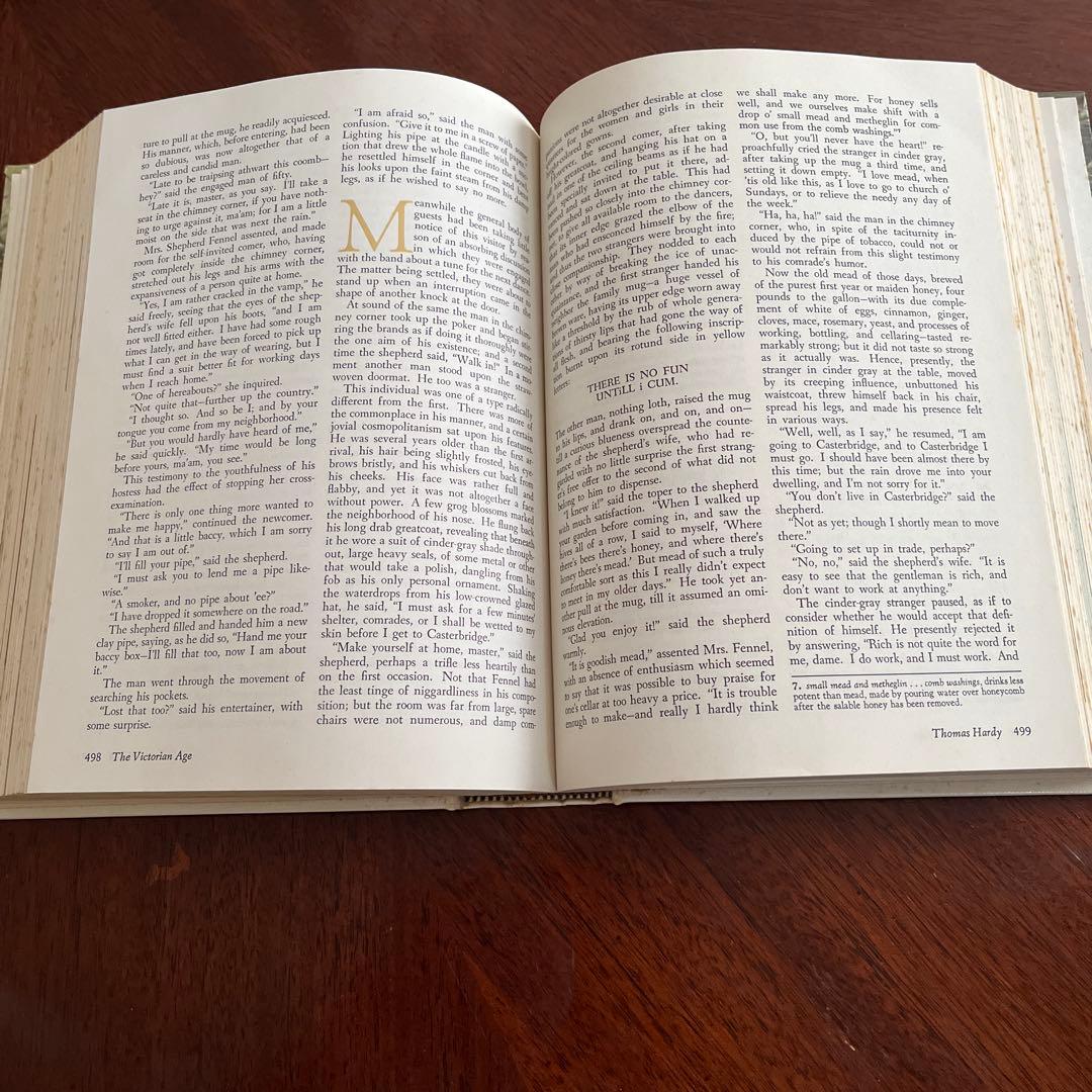 洋書 England in Literature
