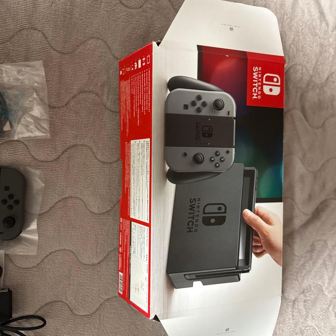 Nintendo Switch グレー（動作確認）