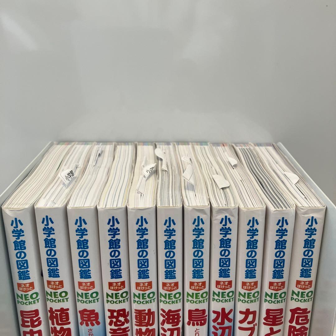 小学館の図鑑　NEOポケット 11巻
