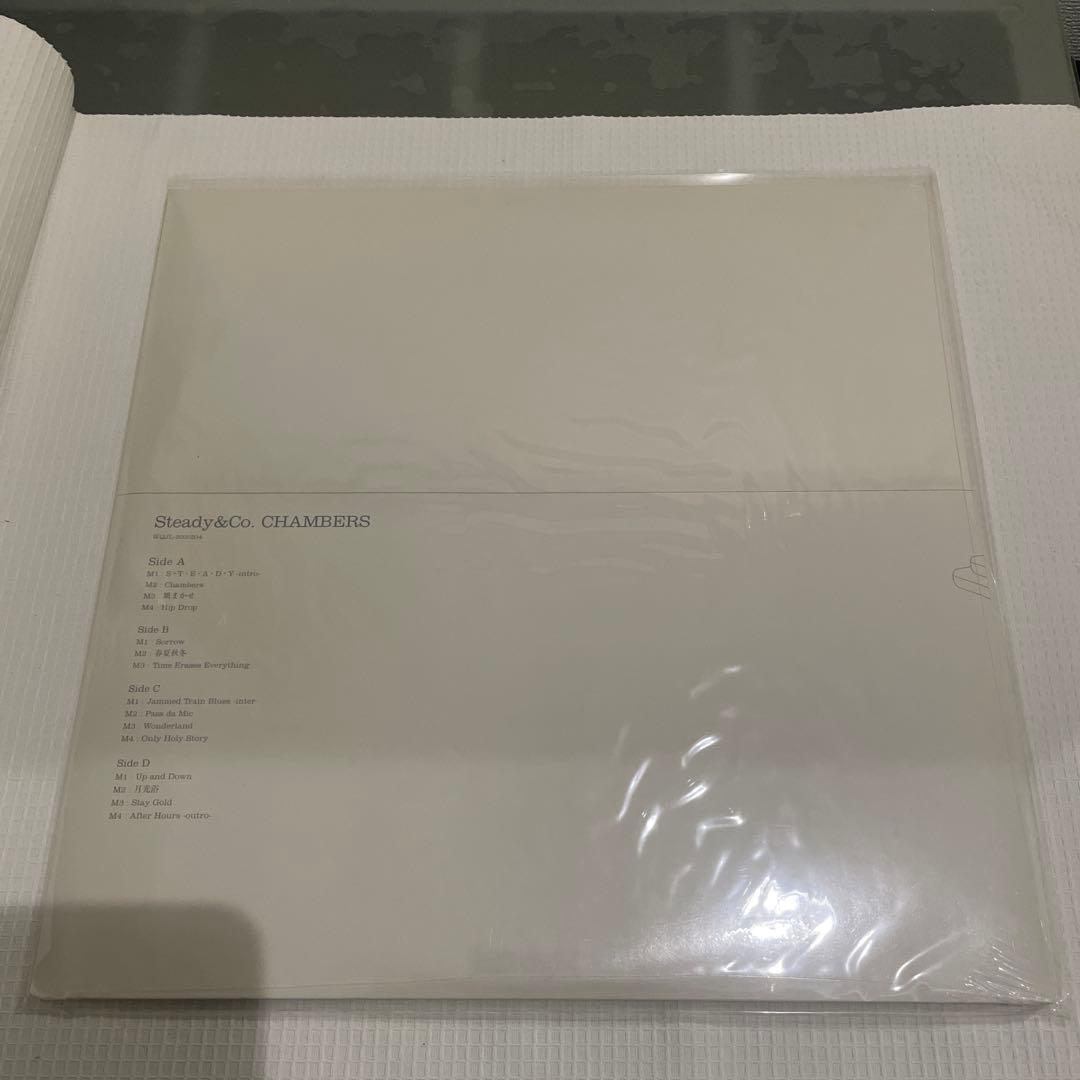 新品 Steady & Co. CHAMBERS LPレコードドラゴンアッシュ
