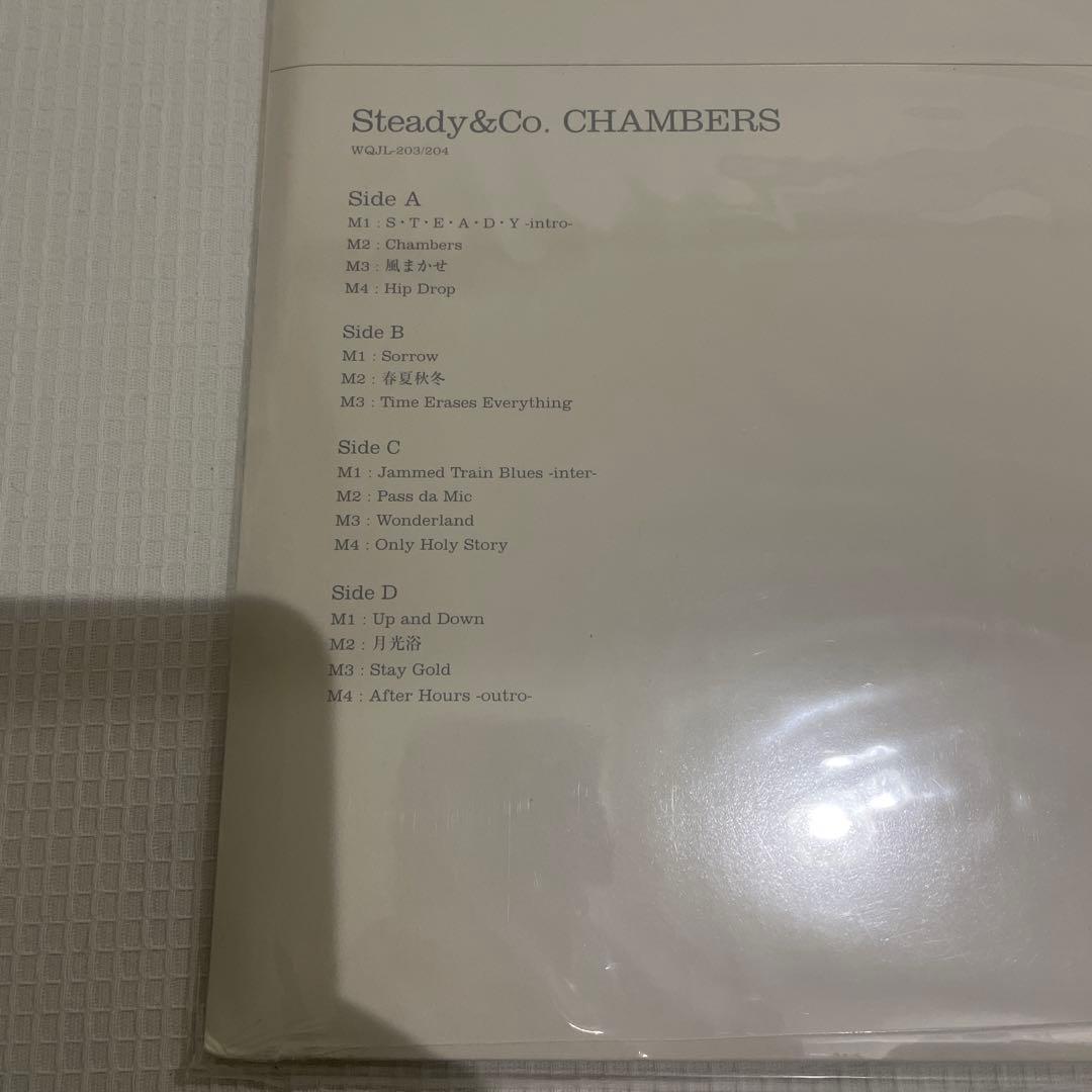 新品 Steady & Co. CHAMBERS LPレコードドラゴンアッシュ